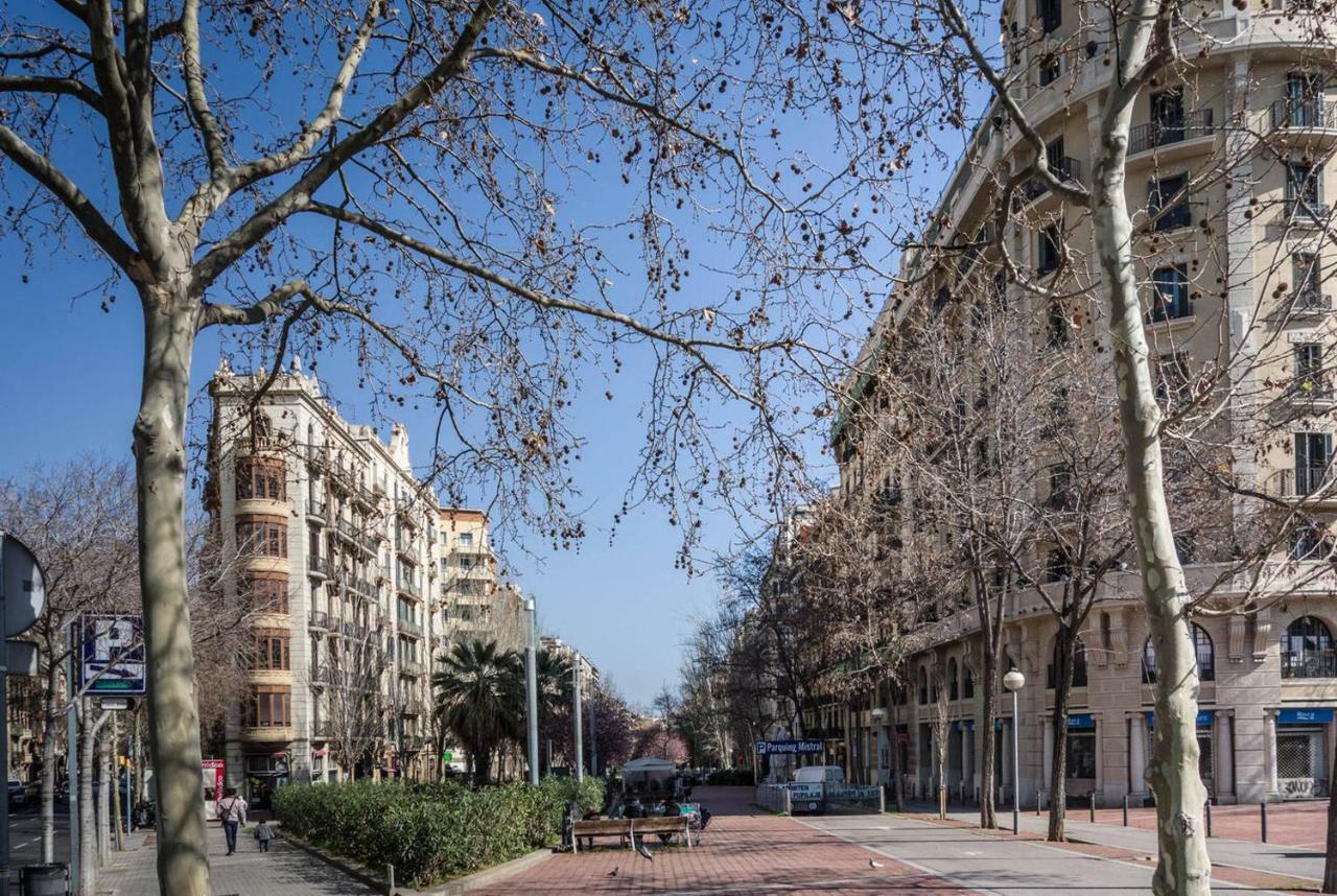 Noemi Barcellona